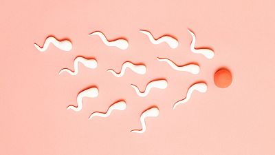 COVID-19 could cause fertility problems by harming the quality of sperm for weeks after recovery from illness, a new study says