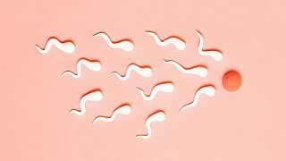 Covid-19 beeinflusst auch Wochen nach der Genesung die Qualität der Spermien, so eine Studie