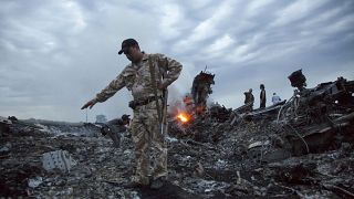 Ukrayna'da düşürülen Malezya uçağının enkazı