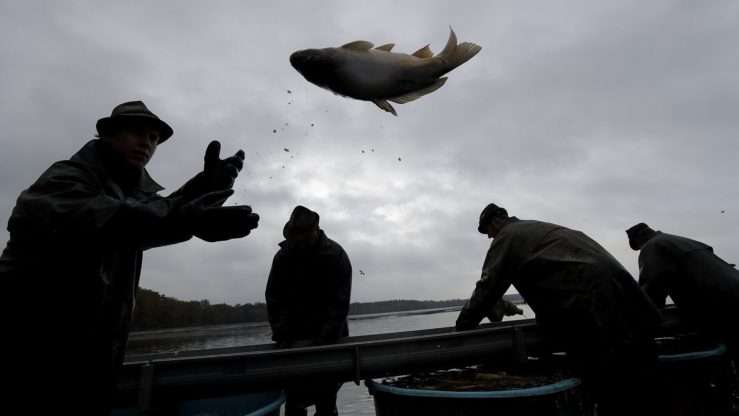 CARP RUSH TV, UN NOEL CHEZ EDEN