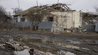 A dog sits outside a house that was struck by a mortar shell fired by Russia-backed separatists in the village of Nevelske in eastern Ukraine on December 10.