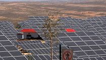 کشاورزان چینی از گسترش پنل‌های خورشیدی عصبانی هستند