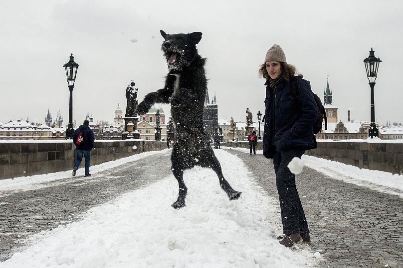 February 2021 - Michal Cizek/AFP