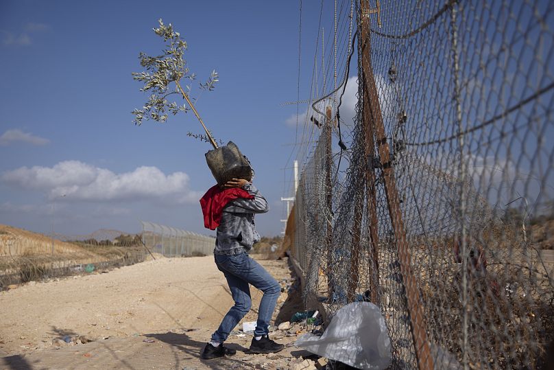 Oded Balilty/AP Photo