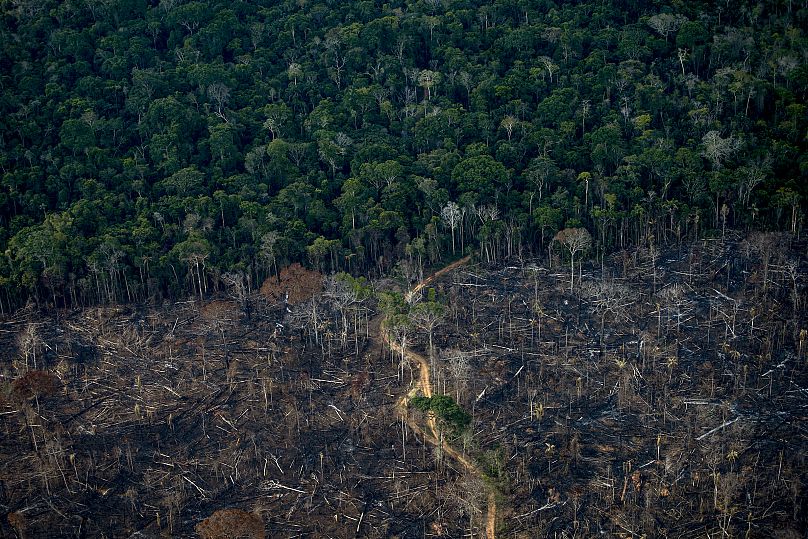 Mauro Pimentel/AFP