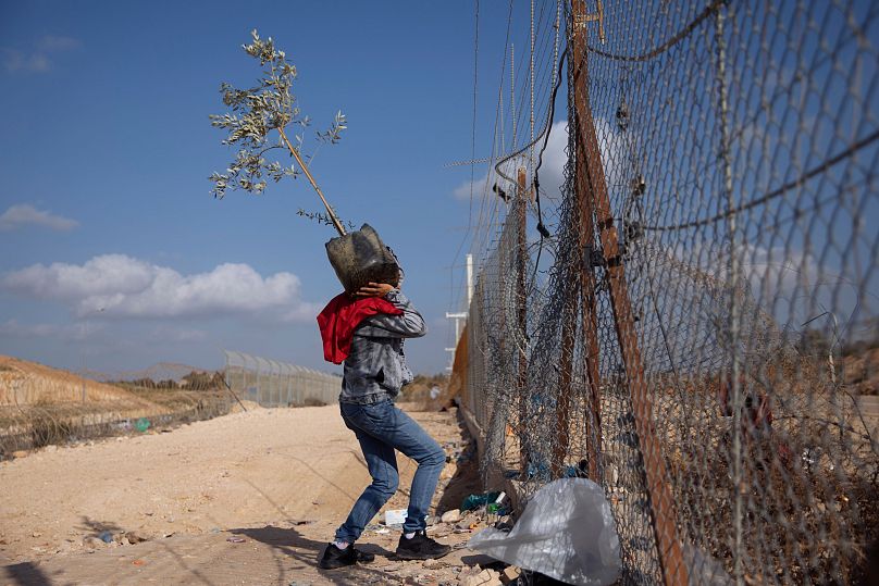 Oded Balilty/AP Photo