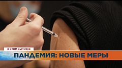 Ознакомьтесь с главными новостями сегодня | 23 декабрь — Утренний эфир