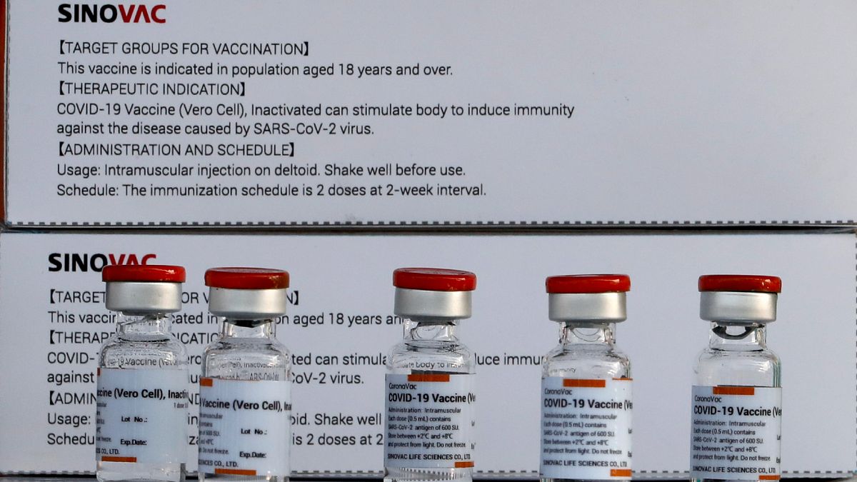 Çinli Sinovac'ın Covid-19'a karşı geliştirdiği aşı 