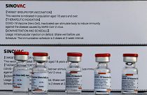 Çinli Sinovac'ın Covid-19'a karşı geliştirdiği aşı