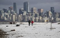 Прохожие прогуливают собаку в Ванкувере, Канада