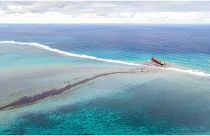 Marée noire à l'île Maurice : 20 mois de prison pour les responsables de la pollution maritime