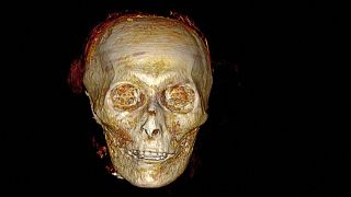 تصویر سه بعدی بازسازی شده از چهره مومیایی «آمنهوتپ یکم»، دومین فرعون دودمان هجدهم مصر باستان