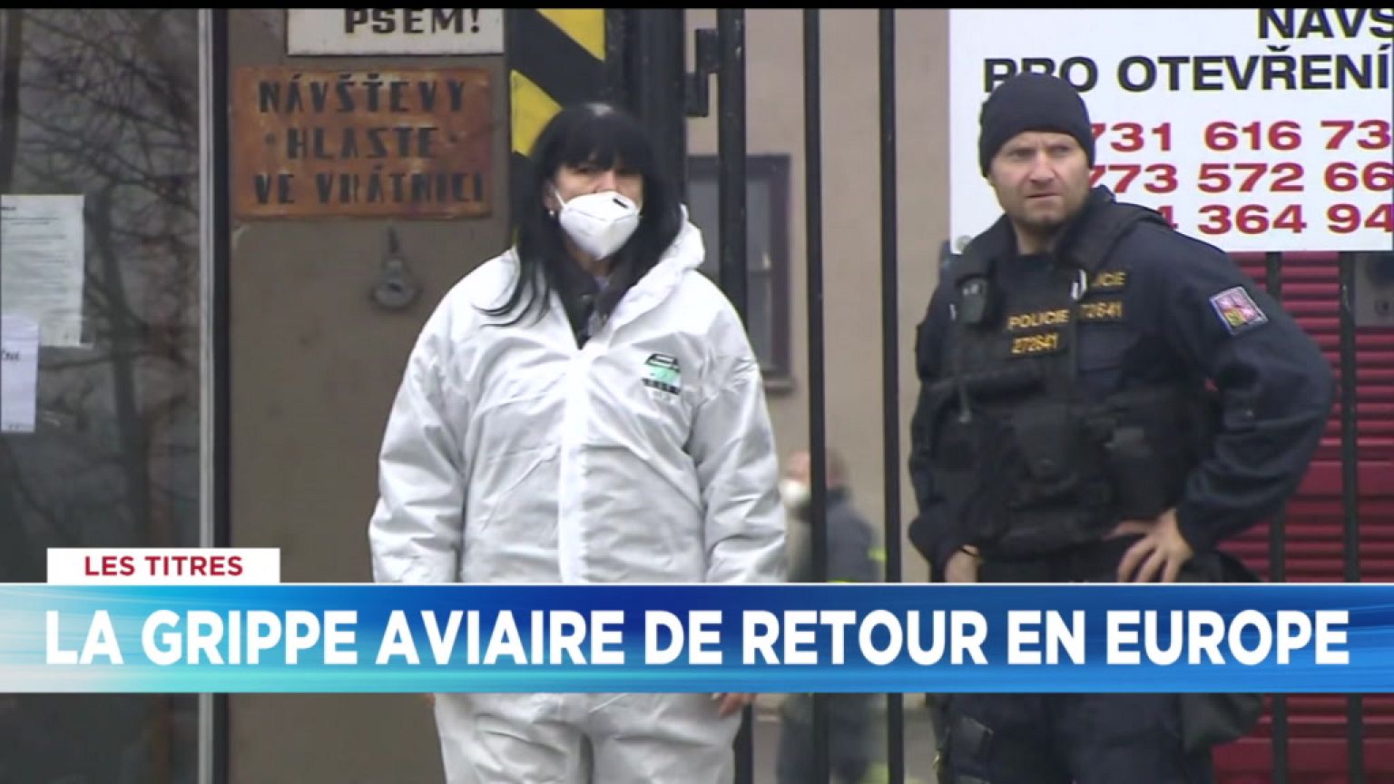 Euronews, vos 10 minutes d’info du 29 décembre | L'édition de la mi-journée