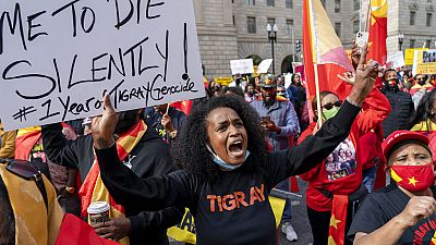 Ethiopie : des rebelles du Tigré appellent à la solidarité musulmane