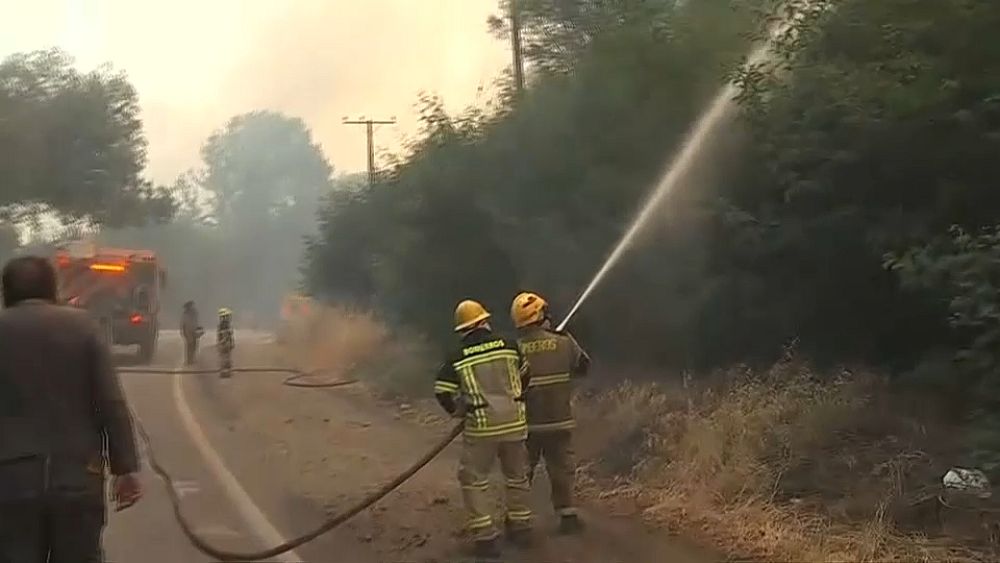 Ante El Aumento De Incendios Forestales Chile Decreta El Estado De Emergencia Agrícola Euronews 2345