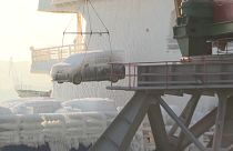 Tiefgefrorene Autos werden im Hafen von Wladiwostok entladen