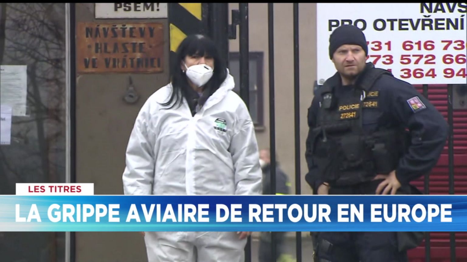 Euronews, vos 10 minutes d’info du 29 décembre | L'édition du soir