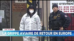 Euronews, vos 10 minutes d’info du 29 décembre | L'édition du soir