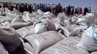 Armed group in Darfur steals nearly 2,000 tons of food aid