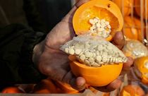 Captagon pills