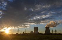 UE divisa su gas ed energia nucleare, ma su cosa fanno più affidamento i paesi?