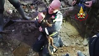اقاذ كلبين نفق تحت الأرض في إيطاليا.