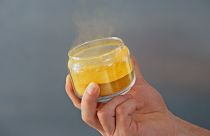 Image shows 'solein' a protein grown via a gas fermentation process from a single microbe.