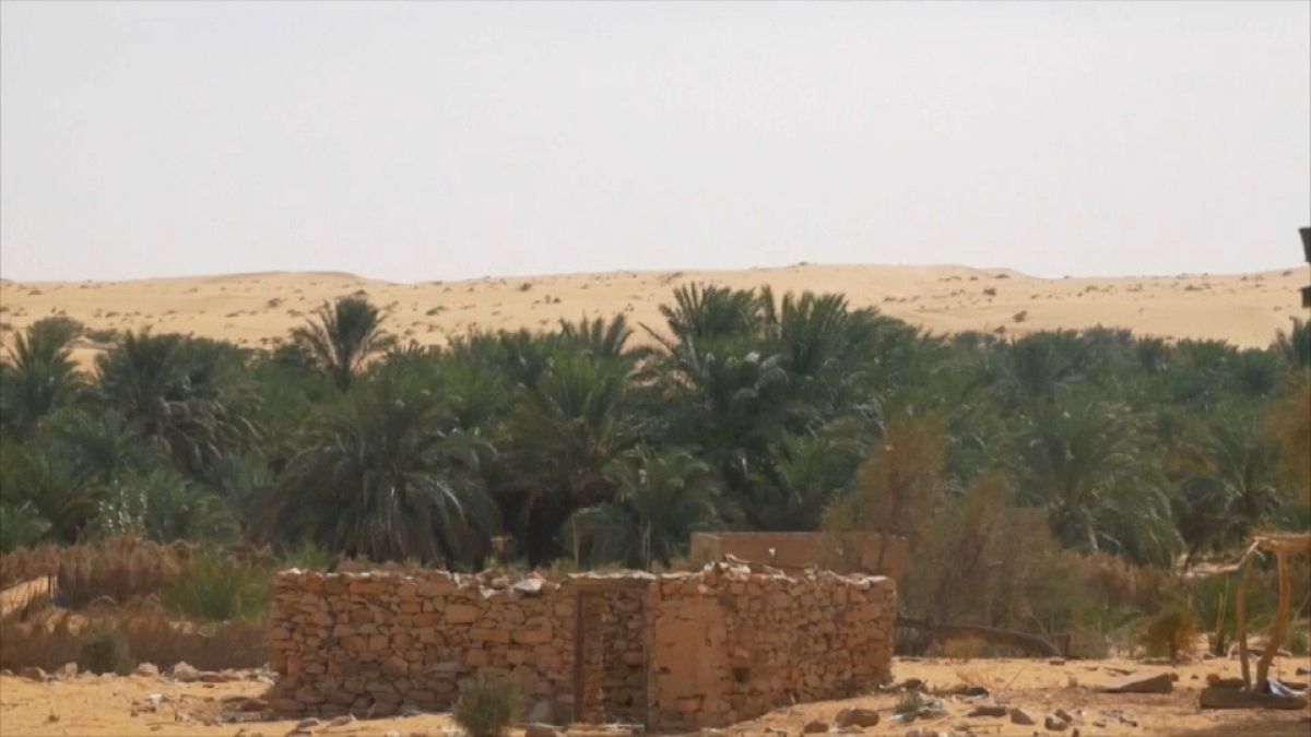 الجدار الأخضر في موريتانيا. 
