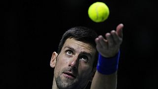 Novak Djokovic lors de la rencontre de demi-finale de Coupe Davis Serbie-Croatie, le 3 décembre à Madrid (Espagne)