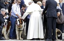 Papa Francis çocuk yerine evcil hayvan sahibi olmayı eleştirdi