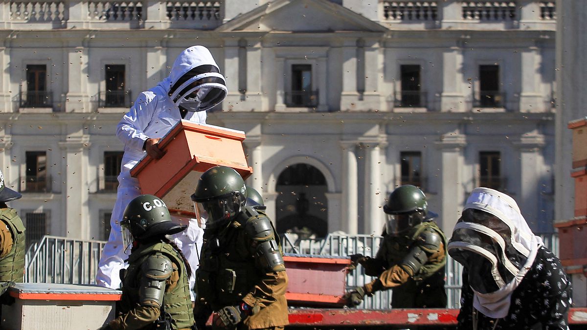 Beekeepers who demanded government measures to face the persistent drought take part in a protest with honeycombs full of bees in front of Chilean Presidential Palace