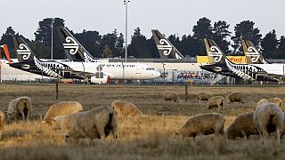 Air New Zealand dünyanın en güvenli havayolu seçildi