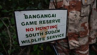 Battle against poachers hampered by lack of equipment