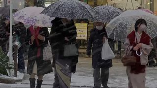 شاهد: عاصفة ثلجية تضرب طوكيو وتكسو الشوارع باللون الأبيض