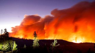 Fire in Eldorado National Forest, Calif