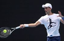 Novak Djokovic, le N°1 mondial de tennis