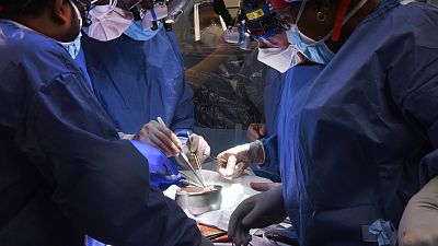 Domuz kalbinin nakledildiği operasyon