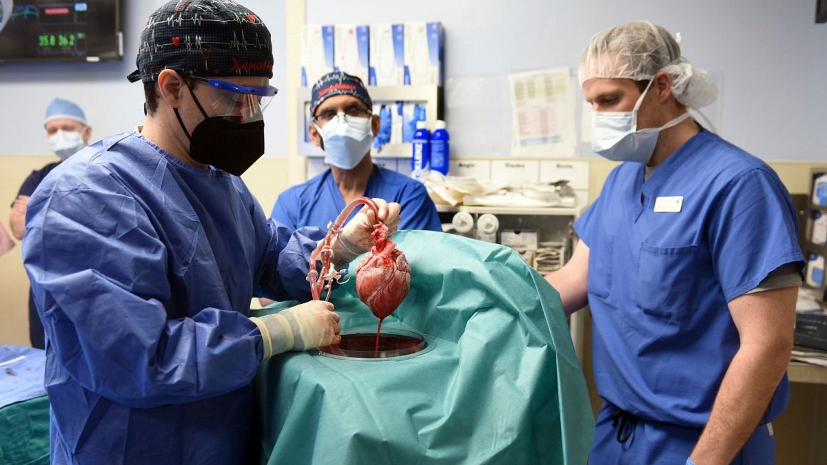 تیم جراحی دانشکده پزشکی مریلند برای پیوند قلب خوک به بیمار دیوید بنت