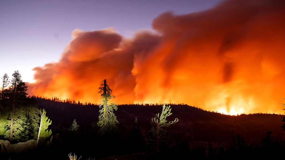 The last seven years were the hottest on record, new climate report finds 1 1000x563 cmsv2 5f7e03bc cf26 5893 b92b edacecd904c5 6365256