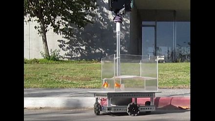Israeli researchers claim to teach goldfish to drive a vehicle
