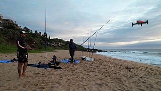 Angler am Strand von Durban werfen die Köder mithilfe von Drohnen aus - und fangen dicke Dicke Fische.
