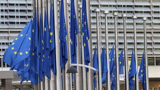 الاتحاد الأوروبي  يعلن أن مهامه الدفاعية المناهضة للجهاديين في منطقة الساحل تتعرض لـ"تهديد متزايد"