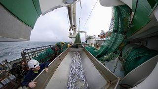 Navios de investigação da pesca são como laboratórios em alto mar