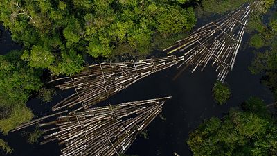 Aerial view of logs of wood seized by the Amazon Military Police at the Manacapuru River in Manacupuru, Amazonas State.