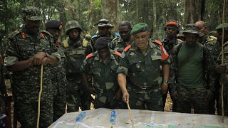 DRC forces launch offensive against ADF forces in eastern Congo