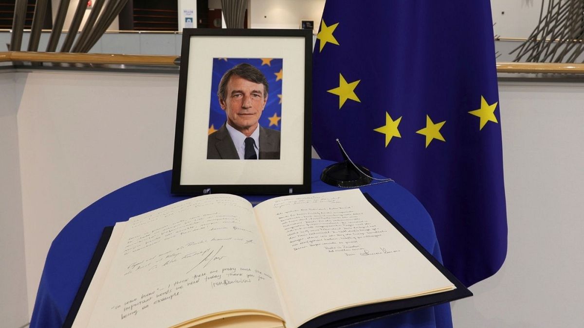 نمایندگان پارلمان اروپا جانشین داوید ساسولی را برمی‌گزینند