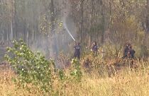 Varias dotaciones de bomberos trabajan para sofocar un incendio forestal en Tristán Suárez, en la provincia de Buenos Aires