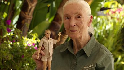 Primatologist Jane Goodall posing with the new Jane Goodall Barbie doll.