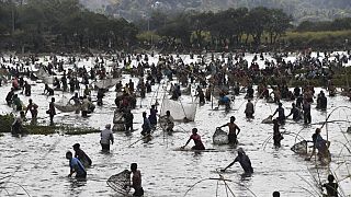 Villageois participant à une pêche collective marquant la fin de la saison des récoltes dans le nord-est de l'Inde - le 12/01/2022