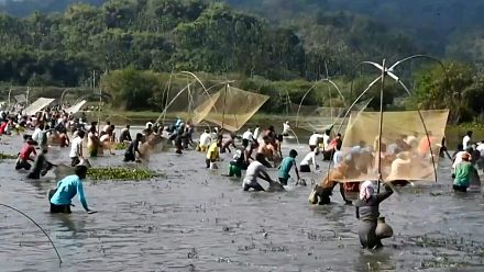 Indian villages fish collectively during the Bhogali Bihu harvest festival
